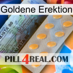 Golden Erection 44